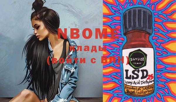 шишки Надым