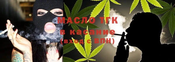 шишки Надым