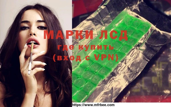 шишки Надым