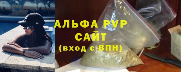 шишки Надым