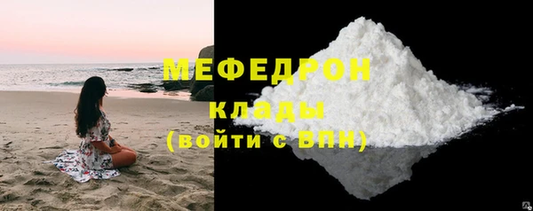 шишки Надым