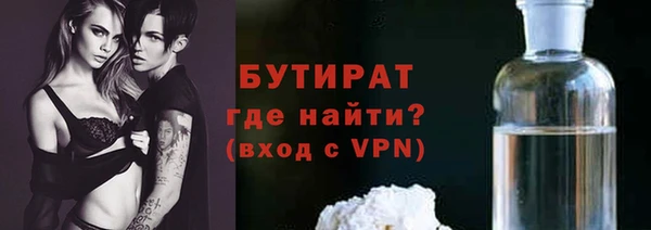 шишки Надым