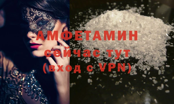 шишки Надым
