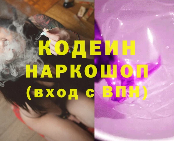 шишки Надым