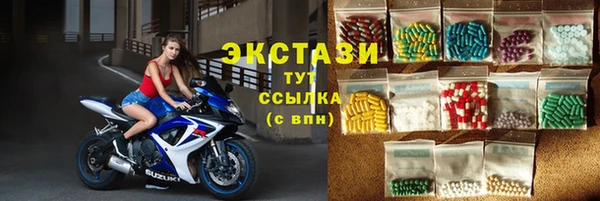 шишки Надым