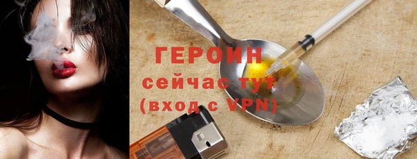шишки Надым